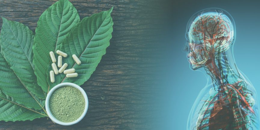 A detailed review about kratom